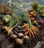 RISING_RESOURCES_BLOG-3_THUMB